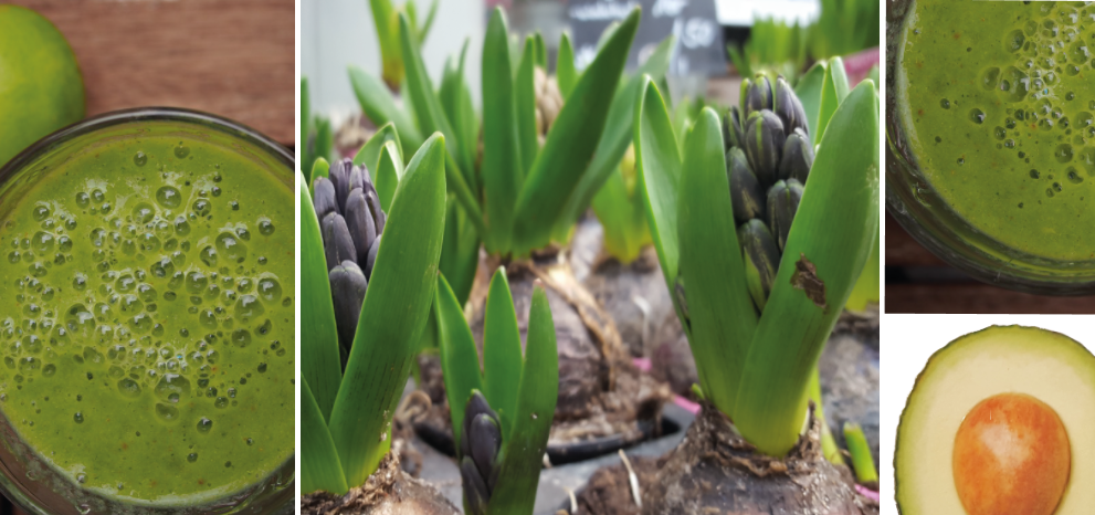 Charlev.de_Greenery_Farbe_des_Jahres_2017_Header